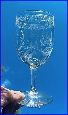 Baccarat Mimosa 6 Water Wine Glasses Verres A Eau Vin Cristal Gravé Art Nouveau