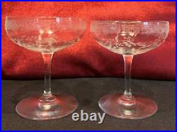 Baccarat Mimosa Tall Sherbet Glasses Coupe A Champagne Cristal Gravé Art Nouveau