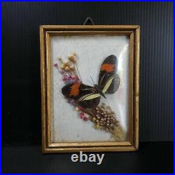 Composition miniature art nouveau fleurs papillon cadre doré vitre verre N6165