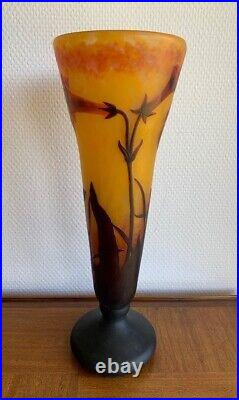 Daum Nancy vase decoration Tobacco Flowers