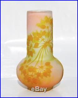 EMILE GALLÉ Beau Vase décor Ombelles Pâte de Verre Gravé ART NOUVEAU Nancy