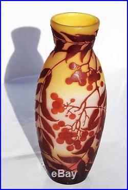 EMILE GALLÉ Grand & Gros Vase Décor BAIES Pâte de Verre Gravé ART NOUVEAU 31cm