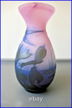 Émile Gallé Vase Aux Nénuphars En Verre Ton Rose Bleu Époque 1900 Art Nouveau