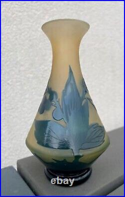 G Raspiller Vase Art Nouveau Verre Multicouche Dégagé Acide Ancien