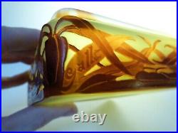 Gallé art nouveau bas de bonbonnière verre dégagé à l'acide n Daum pâte de verre Gallé art nouveau bas de bonbonnière verre dégagé à l'acide n Daum pâte de verre