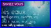 Nelly-Grosjean-Vous-Parle-De-L-Eau-Les-Eaux-Intelligentes-Quantiques-Alchimiques-Inform-Es-01-jz