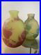 Paire-De-Beaux-Vases-Cames-Degages-A-L-acide-Signe-Cristiro-Art-Nouveau-01-yzk