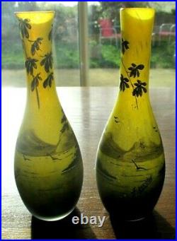 Rare Paire de vases en pâte de verre gravé acide fin XIXème art nouveau A. DUCOBU