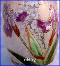 Seau à biscuits Art Nouveau, pot en verre émaillé LEGRAS Les iris violets