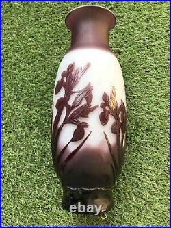 Superbe Vase Art Nouveau Ecole De Nancy La Rochère cf Gallé Décor Iris -28cm No2