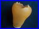 Tulipe-Daum-Muller-Pate-De-Verre-Art-Deco-nouveau-Lampe-1900-01-dki
