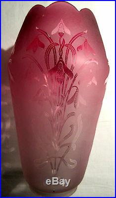 Tulipe de lampe à pétrole, verre framboise dégagé à l'acide Les Perce-neiges