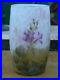 Vase-Art-Nouveau-Verre-degage-a-l-acide-Daum-Nancy-Fleurs-de-Lin-circa-1905-01-imnw