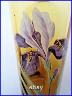 Vase Art Nouveau ou grand verre ambre émaillé Legras Iris bleu