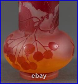 Vase Emile Gallé en pâte de verre Art Nouveau branches sureau baies H5455