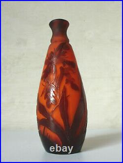 Vase miniature verre gravé à l'acide d'iris Ets Gallé 1910 1920 Art Nouveau