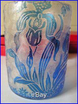 Verre Baccarat 19eme Degage A L Acide Motif Iris Cristal Art Nouveau Bicolore