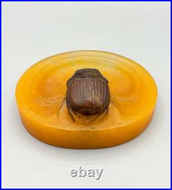 Vide Poche Scarabee Pate De Verre Art Nouveau Amalric Walter Et Henri Berge Vide Poche Scarabee Pate De Verre Art Nouveau Amalric Walter Et Henri Berge